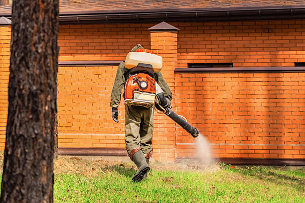 Bed Bug Clearance Verification and Documentation in Union